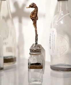 Jamie Dietrich Designs HOME DÉCOR Seahorse Bottle