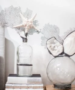 Jamie Dietrich Designs Starfish Seafan Bottle HOME DÉCOR