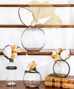 Jamie Dietrich Designs Citrine Gold Seafan Float (Medium) Glass Floats