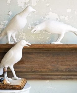 Jamie Dietrich Designs HOME DÉCOR White Resin Crows - Set Of 3