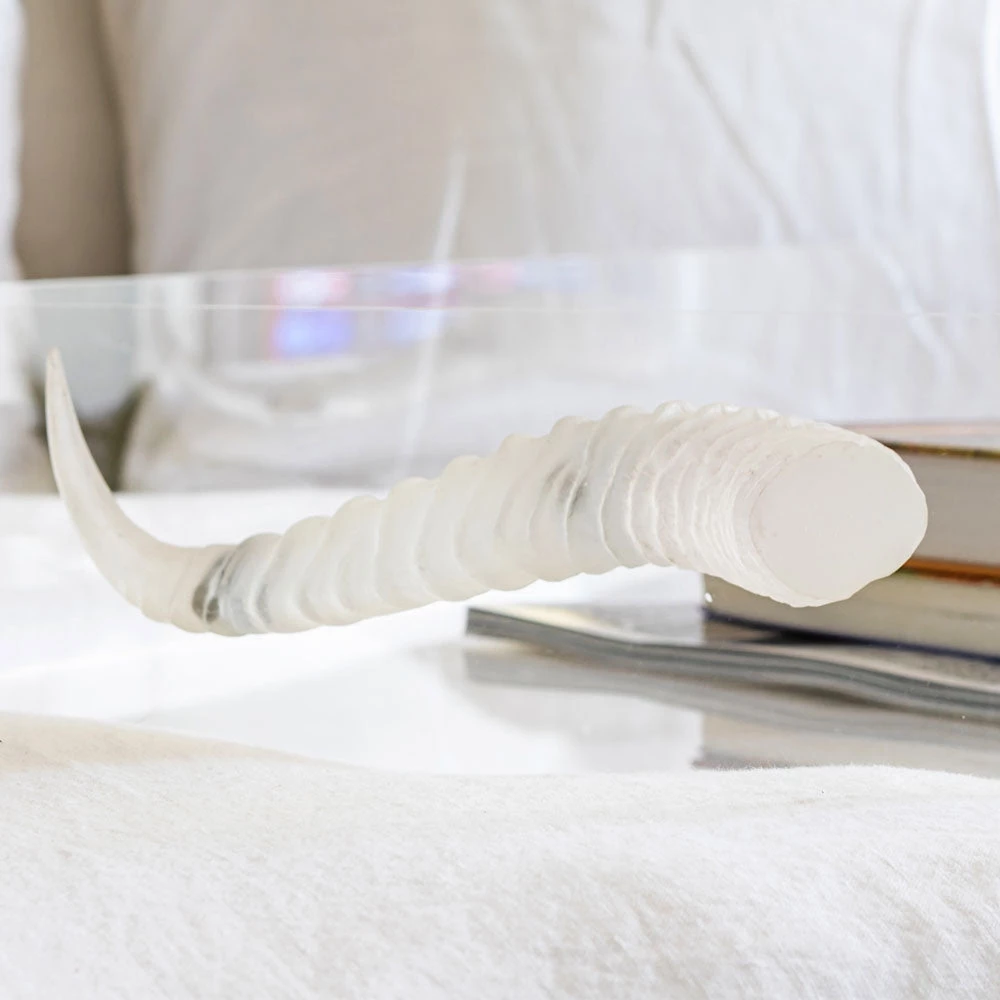 Jamie Dietrich Designs Acrylic Tray With Horn Handles 6 Jamie Dietrich Designs Acrylic Tray With Horn Handles