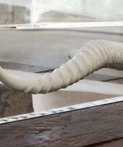 Jamie Dietrich Designs Acrylic Tray With Horn Handles