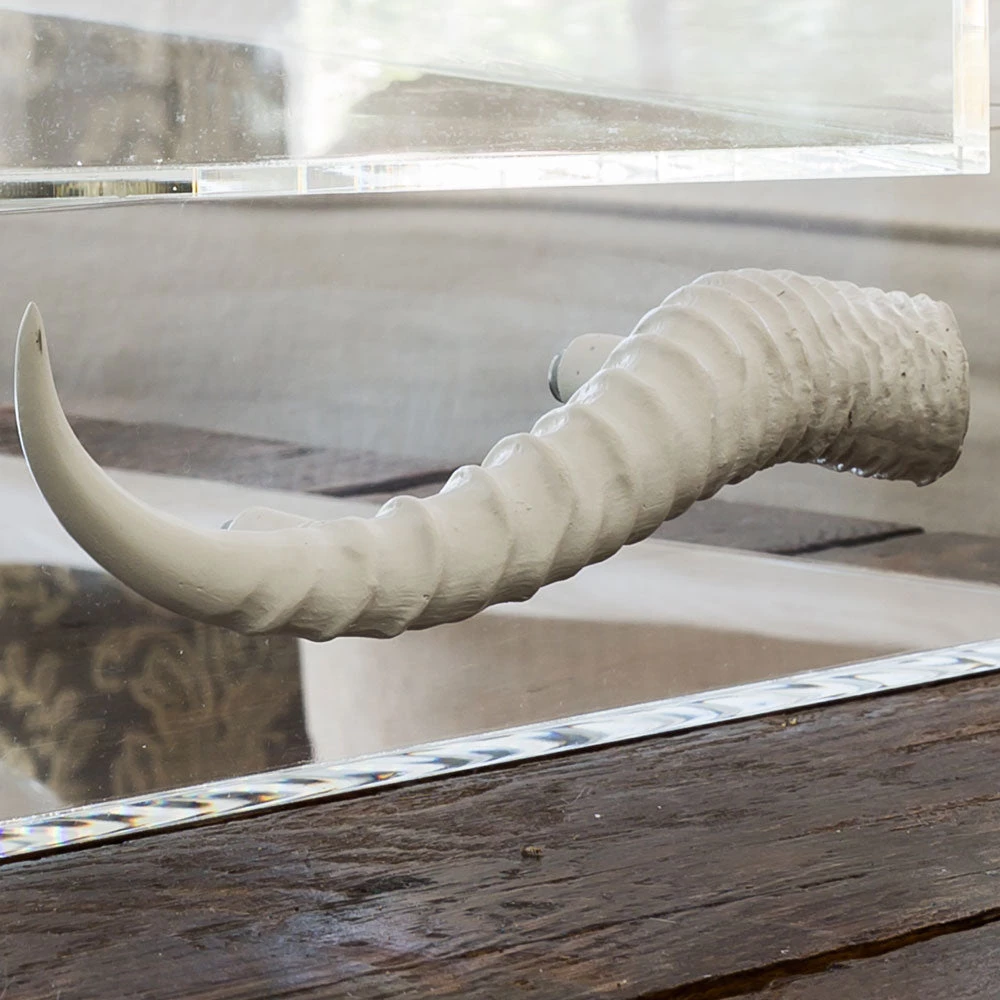 Jamie Dietrich Designs Acrylic Tray With Horn Handles 7 Jamie Dietrich Designs Acrylic Tray With Horn Handles