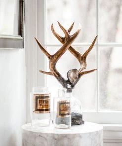 Jamie Dietrich Designs Double Medium Antler Bottle HOME DÉCOR
