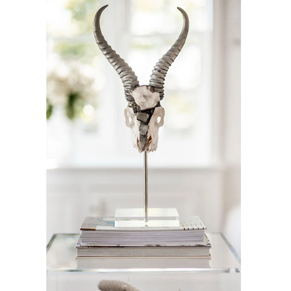 Jamie Dietrich Designs HOME DÉCOR Lutana Stand Mount Springbok 3 Jamie Dietrich Designs HOME DÉCOR Lutana Stand Mount Springbok