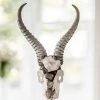 Jamie Dietrich Designs HOME DÉCOR Lutana Stand Mount Springbok