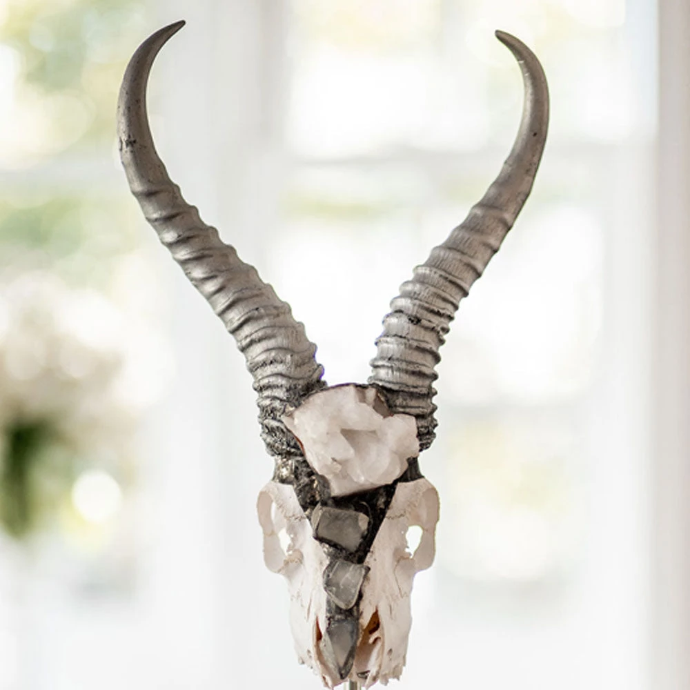 Jamie Dietrich Designs HOME DÉCOR Lutana Stand Mount Springbok 1 Jamie Dietrich Designs HOME DÉCOR Lutana Stand Mount Springbok