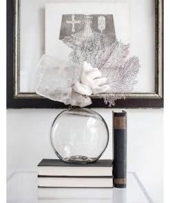 Jamie Dietrich Designs Glass Floats Coral Selenite S Seafan Float (Medium)