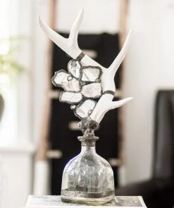 Jamie Dietrich Designs Single Medium Antler Bottle 10 Jamie Dietrich Designs Single Medium Antler Bottle