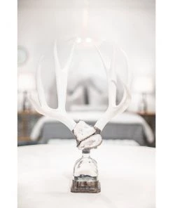 Jamie Dietrich Designs Double Large Geode Antler Bottle HOME DÉCOR