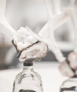 Jamie Dietrich Designs Double Large Geode Antler Bottle HOME DÉCOR