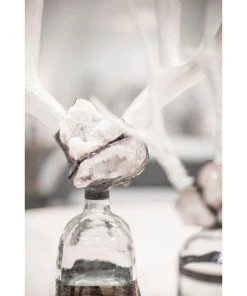 Jamie Dietrich Designs HOME DÉCOR Double Large Geode Antler Bottle