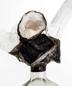 Jamie Dietrich Designs Double Large Tourmaline Antler Bottle HOME DÉCOR