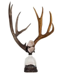 Jamie Dietrich Designs HOME DÉCOR Double Large Geode Antler Bottle