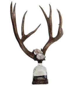Jamie Dietrich Designs HOME DÉCOR Double Large Geode Antler Bottle