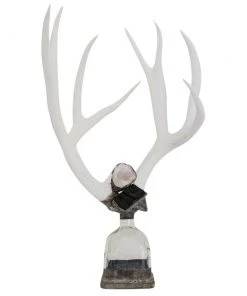 Jamie Dietrich Designs Double Medium Antler Bottle HOME DÉCOR