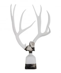 Jamie Dietrich Designs HOME DÉCOR Double Large Geode Antler Bottle