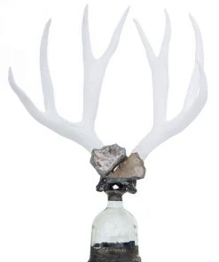 Jamie Dietrich Designs Double Large Geode Antler Bottle HOME DÉCOR