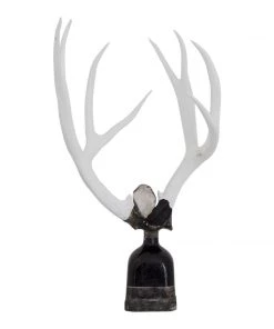 Jamie Dietrich Designs Double Large Tourmaline Antler Bottle HOME DÉCOR
