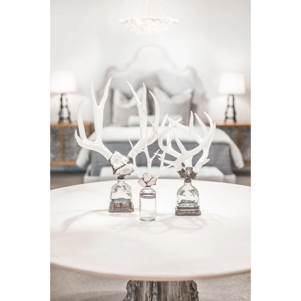 Jamie Dietrich Designs Triple Medium Antler Bottle 5 Jamie Dietrich Designs Triple Medium Antler Bottle