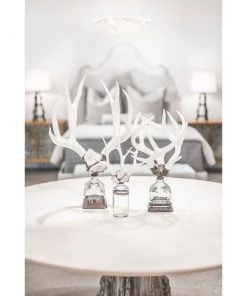 Jamie Dietrich Designs Triple Medium Antler Bottle
