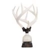 Jamie Dietrich Designs HOME DÉCOR Triple Medium Antler Bottle