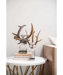 Jamie Dietrich Designs Triple Small Antler Bottle 17 Jamie Dietrich Designs Triple Small Antler Bottle