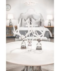 Jamie Dietrich Designs HOME DÉCOR Triple Small Antler Bottle 20 Jamie Dietrich Designs HOME DÉCOR Triple Small Antler Bottle