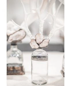 Jamie Dietrich Designs Triple Small Antler Bottle 21 Jamie Dietrich Designs Triple Small Antler Bottle