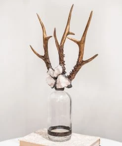 Jamie Dietrich Designs HOME DÉCOR Triple Small Antler Bottle 18 Jamie Dietrich Designs HOME DÉCOR Triple Small Antler Bottle