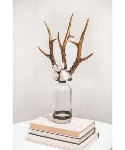 Jamie Dietrich Designs HOME DÉCOR Triple Small Antler Bottle 24 Jamie Dietrich Designs HOME DÉCOR Triple Small Antler Bottle