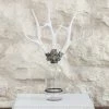 Jamie Dietrich Designs HOME DÉCOR Triple Small Antler Bottle