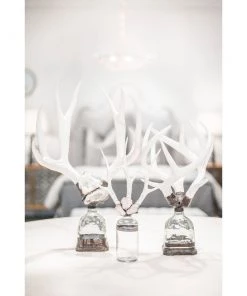 Jamie Dietrich Designs HOME DÉCOR Triple Small Antler Bottle 26 Jamie Dietrich Designs HOME DÉCOR Triple Small Antler Bottle