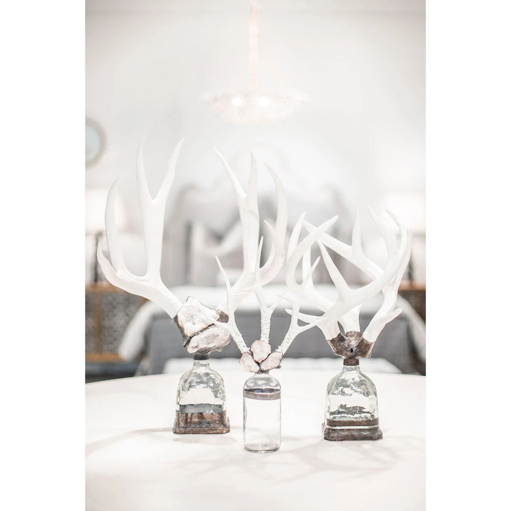 Jamie Dietrich Designs Triple Small Antler Bottle 11 Jamie Dietrich Designs Triple Small Antler Bottle