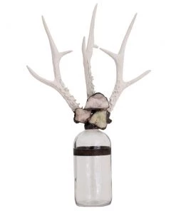 Jamie Dietrich Designs HOME DÉCOR Triple Small Antler Bottle 16 Jamie Dietrich Designs HOME DÉCOR Triple Small Antler Bottle