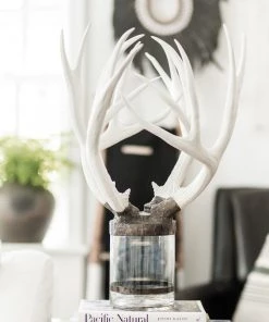 Jamie Dietrich Designs HOME DÉCOR Quadruple Large Antler Bottle