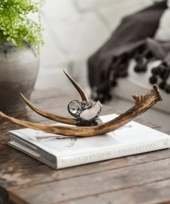 Jamie Dietrich Designs Embellished Antler (Large) HOME DÉCOR
