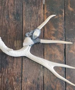 Jamie Dietrich Designs Embellished Antler (Large) HOME DÉCOR