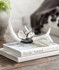 Jamie Dietrich Designs Embellished Antler (Medium) HOME DÉCOR