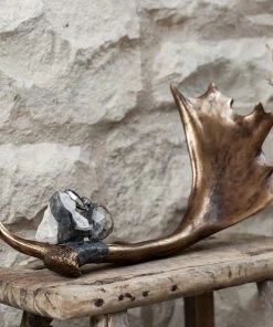Jamie Dietrich Designs DECORATIVE ACCENTS Embellished Antler (Wide)