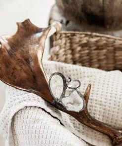 Jamie Dietrich Designs Embellished Antler (Wide)