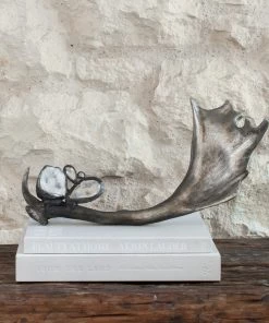 Jamie Dietrich Designs HOME DÉCOR Embellished Antler (Wide)