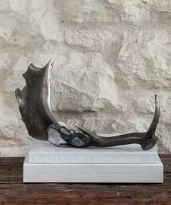 Jamie Dietrich Designs Embellished Antler (Wide) HOME DÉCOR