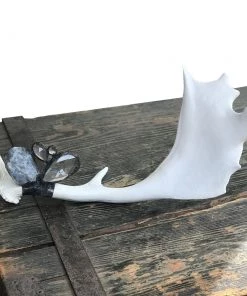 Jamie Dietrich Designs DECORATIVE ACCENTS Embellished Antler (Wide)