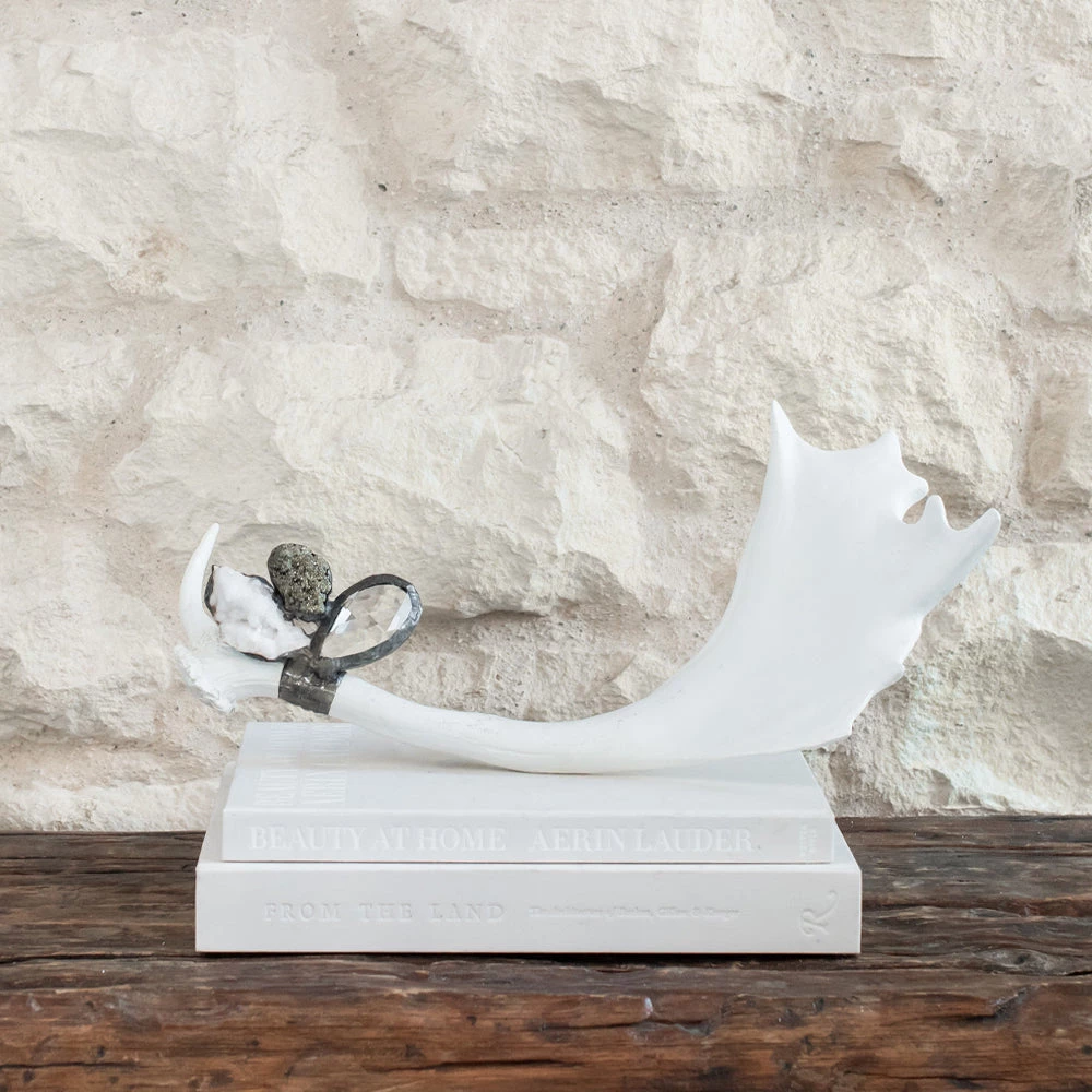 Jamie Dietrich Designs HOME DÉCOR Embellished Antler (Wide) 7 Jamie Dietrich Designs HOME DÉCOR Embellished Antler (Wide)