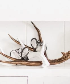 Jamie Dietrich Designs HOME DÉCOR Embellished Antler (Medium) 10 Jamie Dietrich Designs HOME DÉCOR Embellished Antler (Medium)