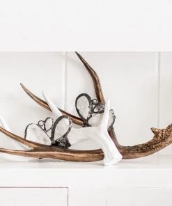 Jamie Dietrich Designs HOME DÉCOR Embellished Antler (Medium) 11 Jamie Dietrich Designs HOME DÉCOR Embellished Antler (Medium)