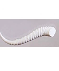 Jamie Dietrich Designs Horn Handle HOME DÉCOR