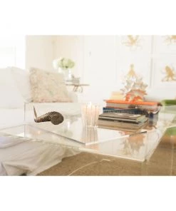 Jamie Dietrich Designs Acrylic Tray With Horn Handles