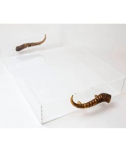Jamie Dietrich Designs Acrylic Tray With Horn Handles